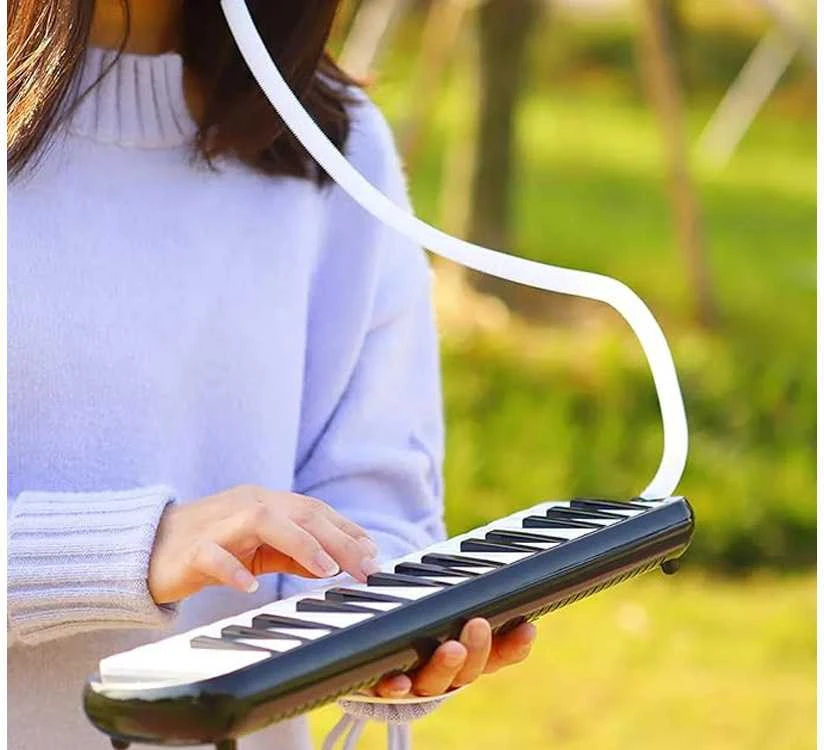 Muzikos instrumentas "Melodika"