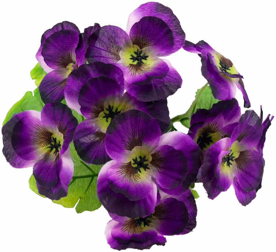 Našlaičių puokštė, 5 vnt., violetinė