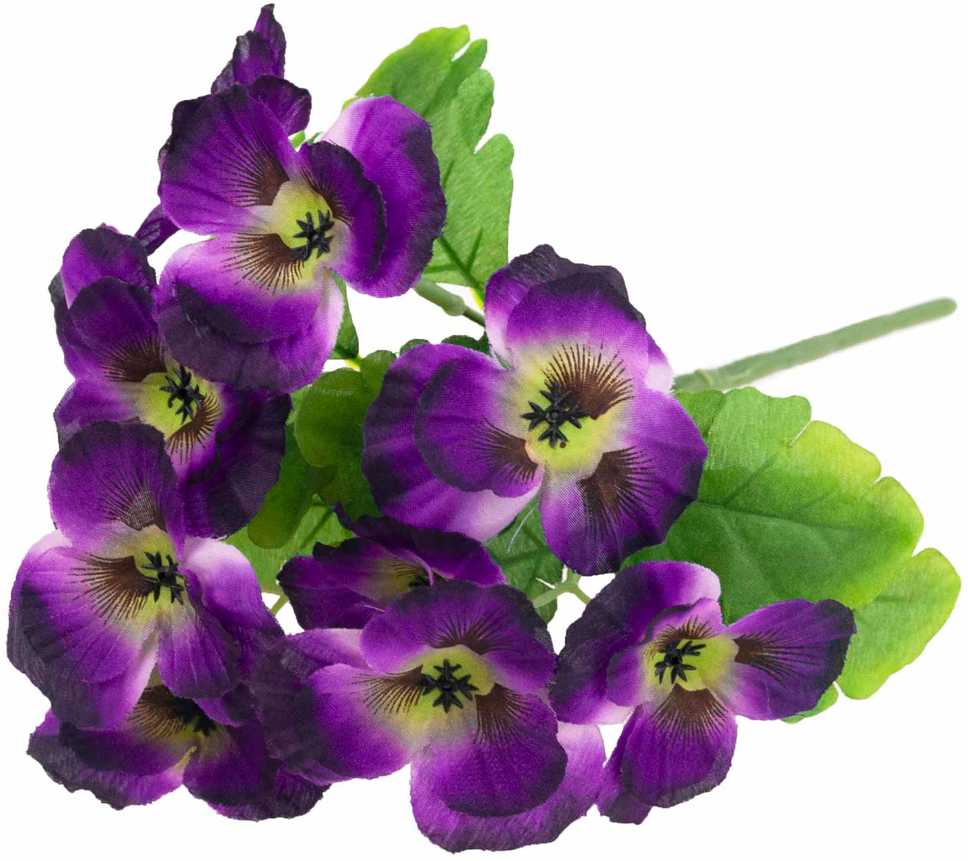 Našlaičių puokštė, 5 vnt., violetinė