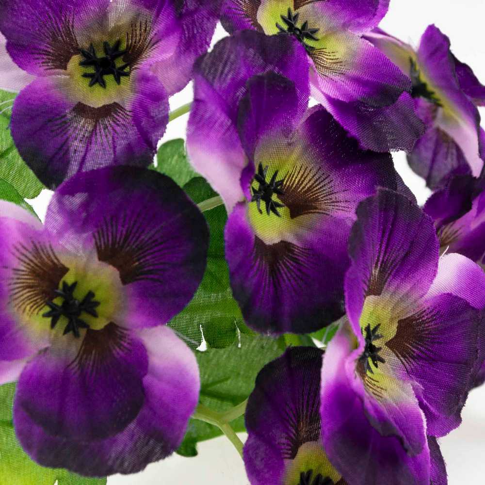 Našlaičių puokštė, 5 vnt., violetinė