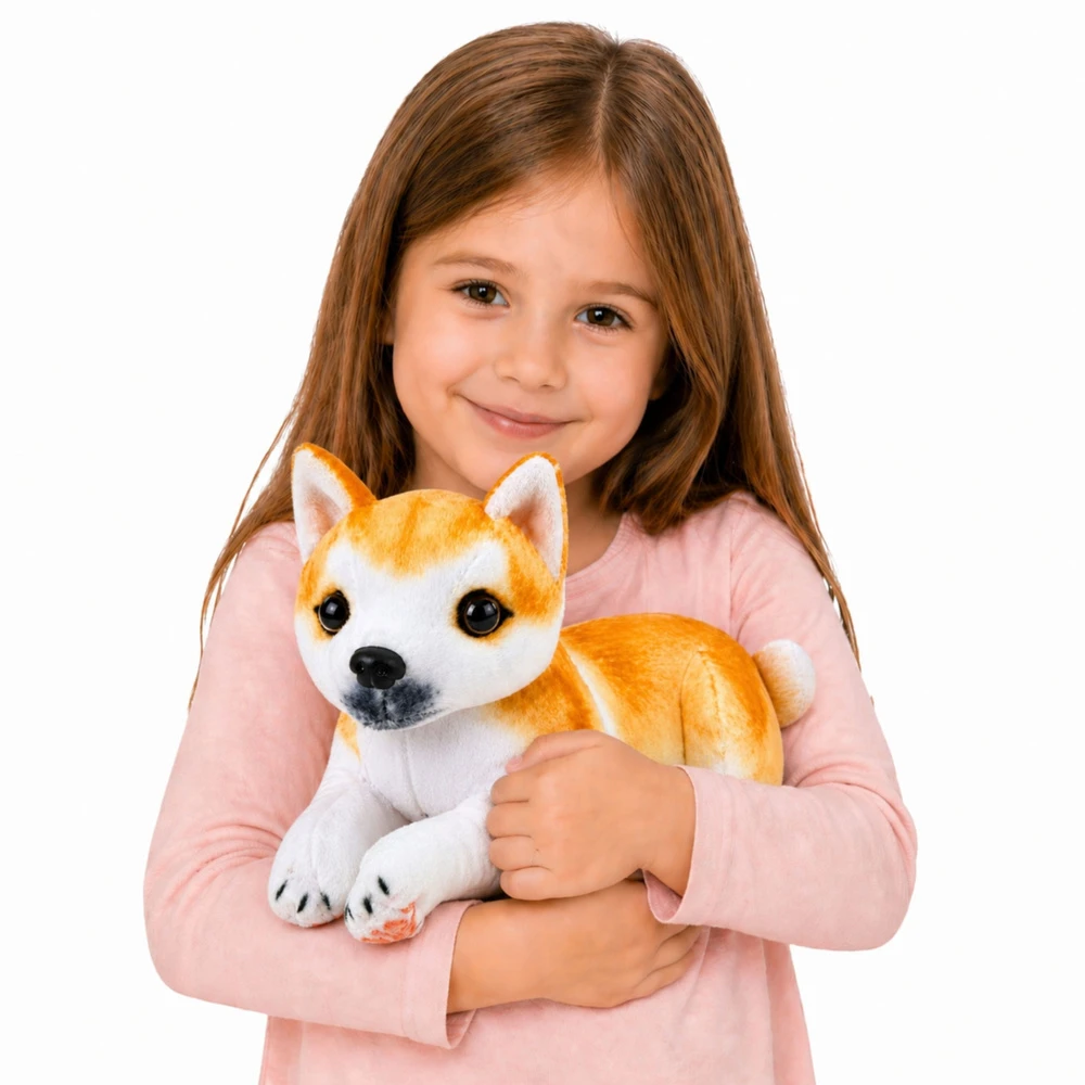 Pliušinis Shiba Inu, 25 cm