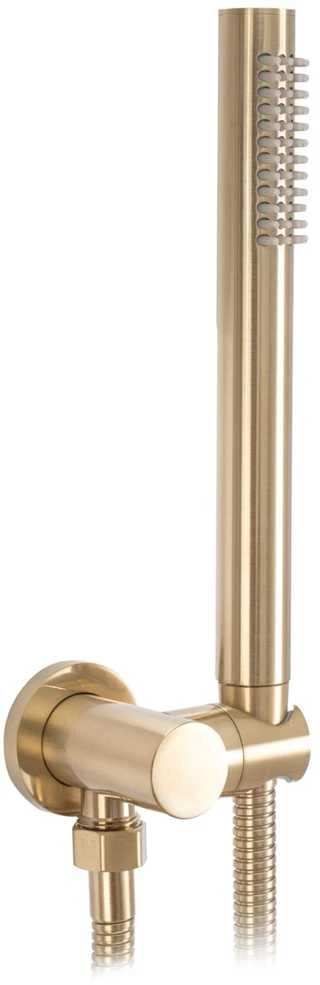 Potinkinio vonios maišytuvo komplektas REA Lungo, Brushed Gold, + Box
