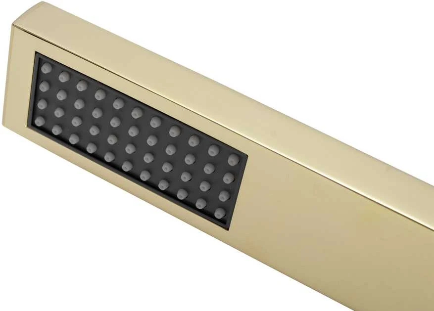 Potinkinis dušo komplektas REA Fenix, Gold, + Box