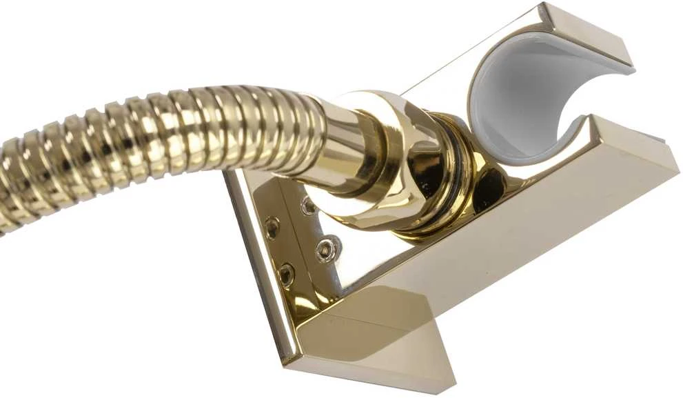 Potinkinis dušo komplektas REA Fenix, Gold, + Box