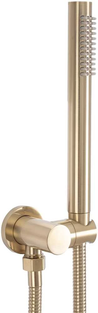 Potinkinis dušo komplektas REA Lungo, Brushed Gold, + Box