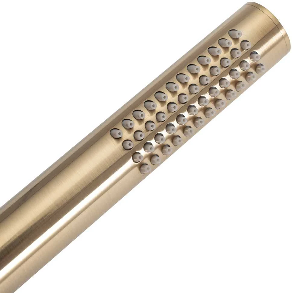 Potinkinis dušo komplektas REA Lungo, Brushed Gold, + Box