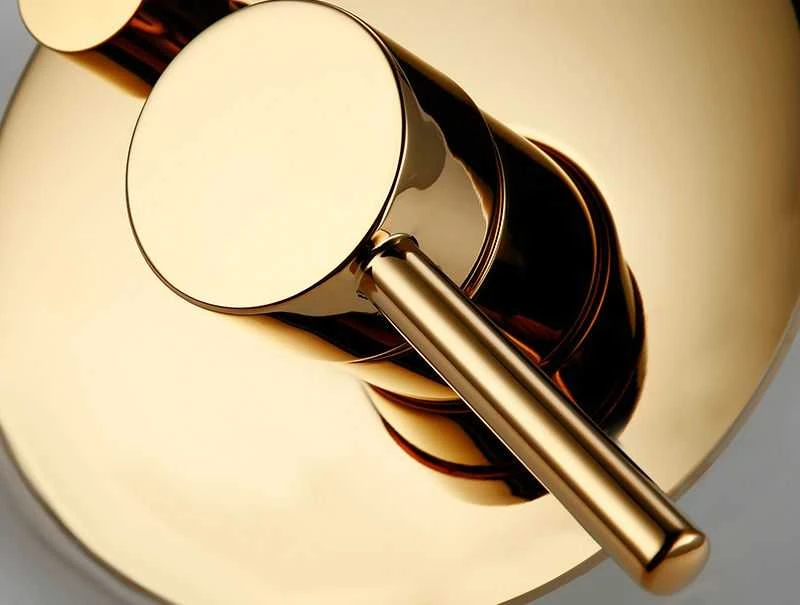 Potinkinis dušo komplektas REA Lungo, Gold, + Box