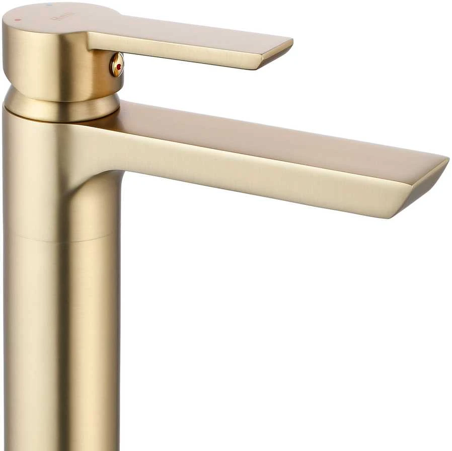 Praustuvo maišytuvas Rea Argus High, Brushed Gold