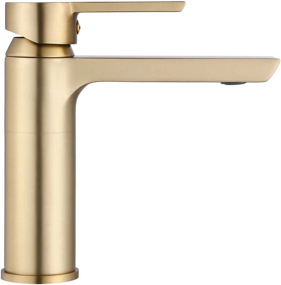 Praustuvo maišytuvas Rea Argus Low, Brushed Gold