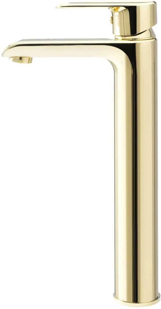 Praustuvo maišytuvas REA Bloom High, Gold