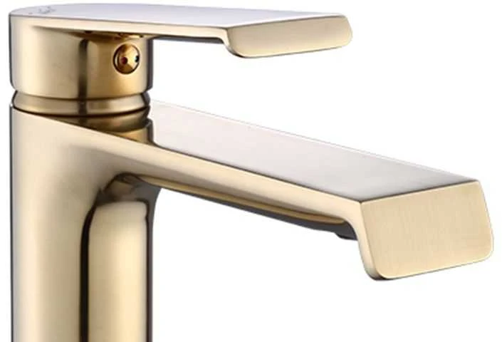 Praustuvo maišytuvas REA Hass High, Brushed Gold