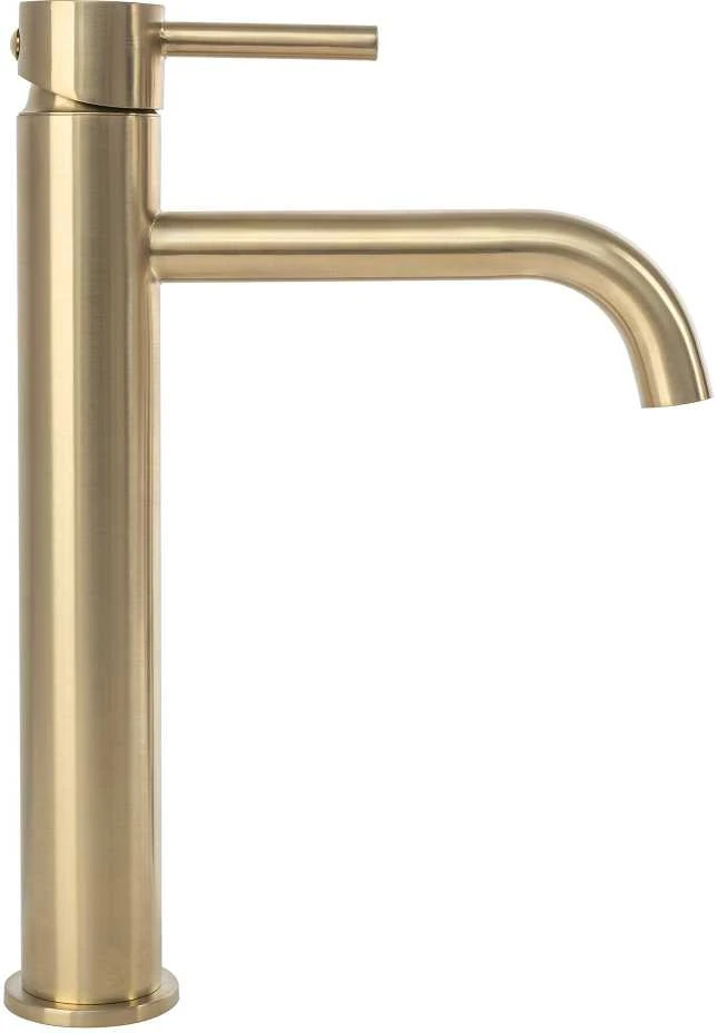 Praustuvo maišytuvas REA Lungo High, Brushed Gold