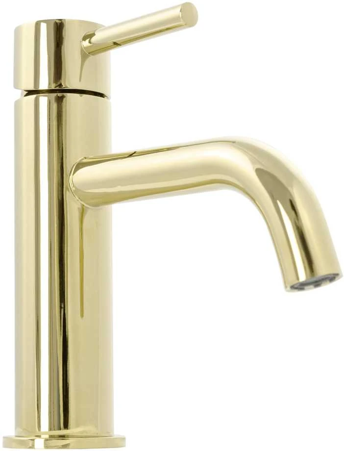 Praustuvo maišytuvas REA Lungo Low, Gold