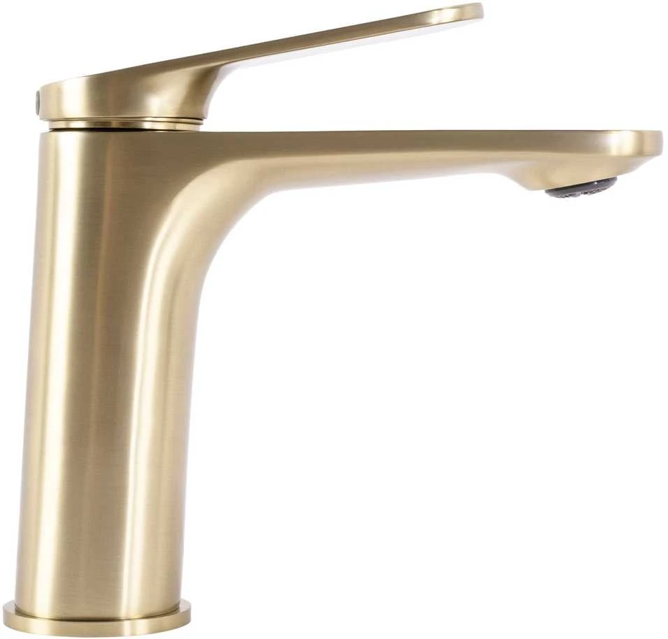 Praustuvo maišytuvas Rea Marco Low, Brushed Gold
