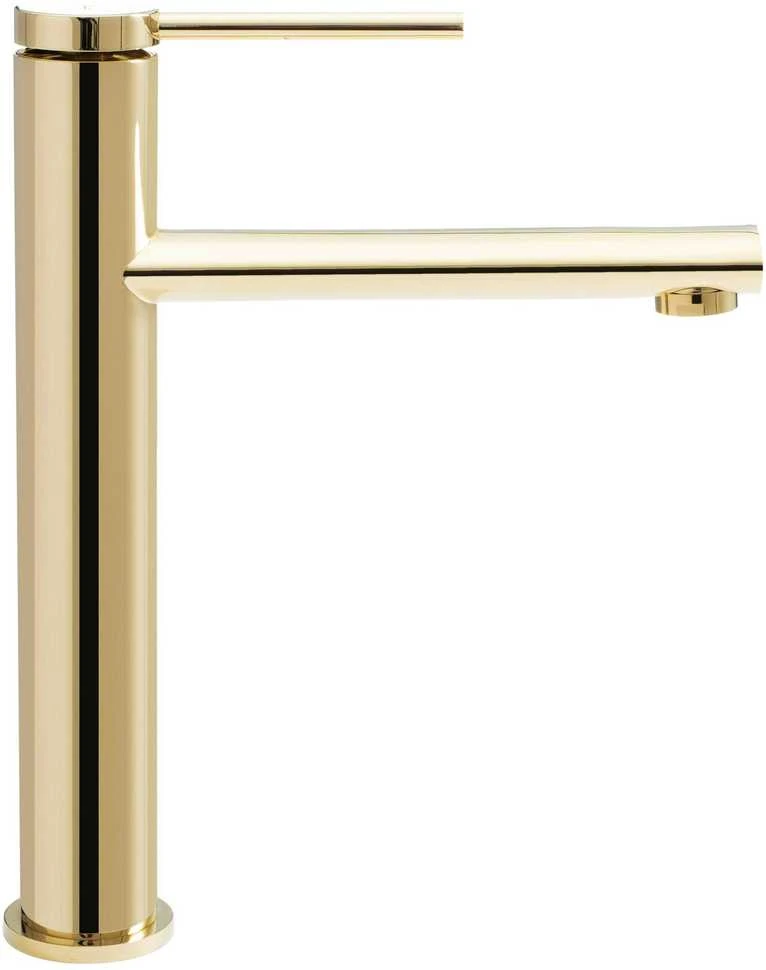 Praustuvo maišytuvas REA Oval High, Gold