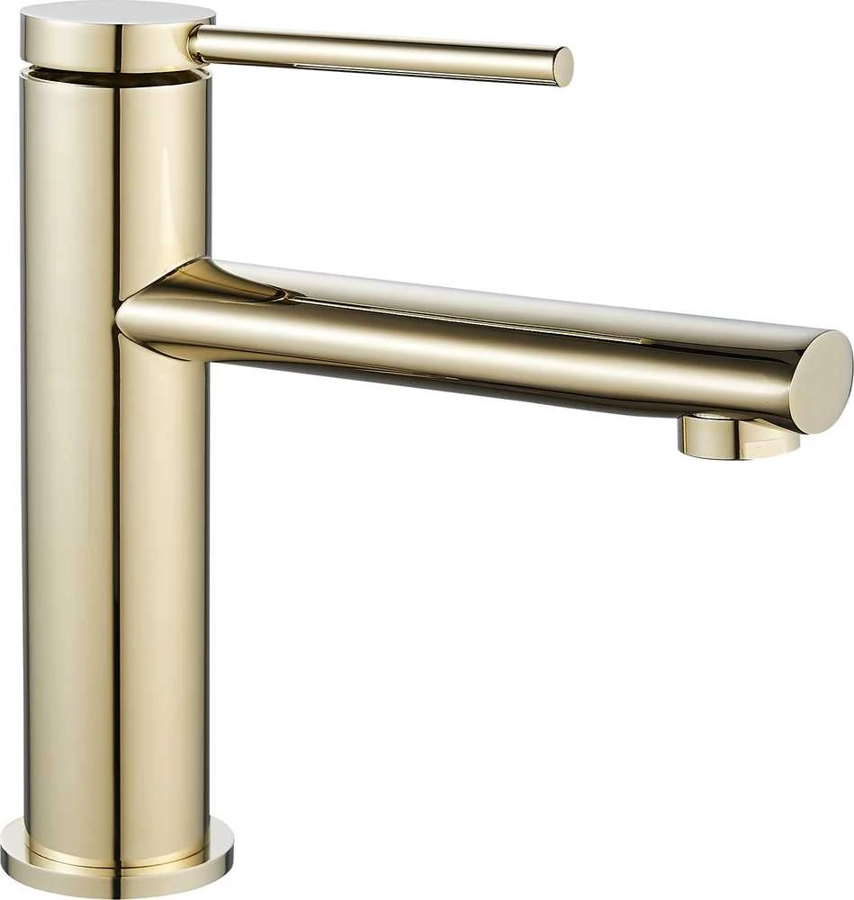 Praustuvo maišytuvas REA Oval Low, Gold