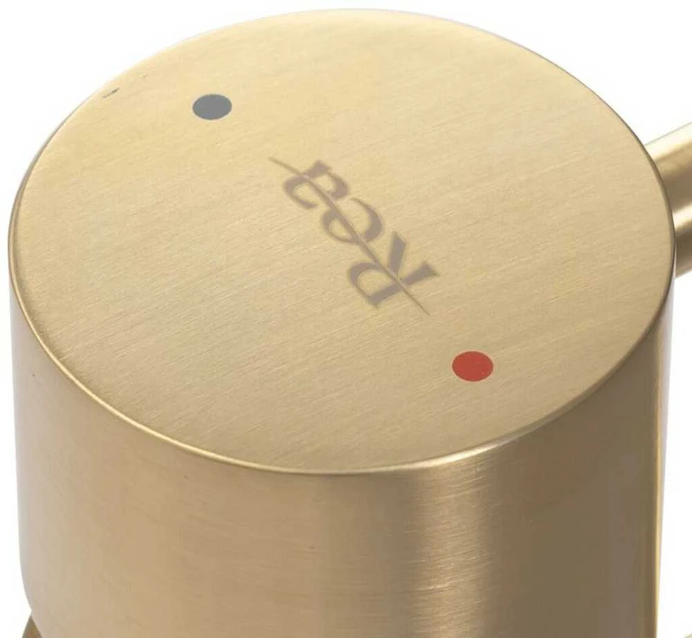 Praustuvo maišytuvas REA Tess High, Brushed Gold