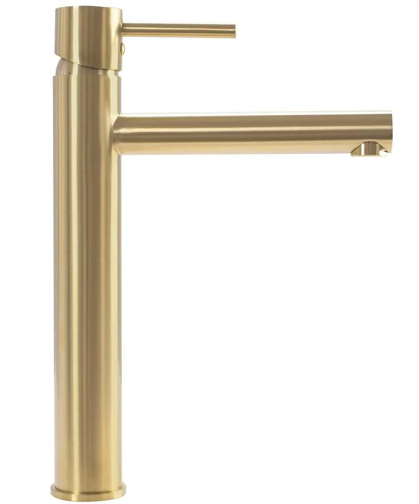 Praustuvo maišytuvas REA Tess High, Brushed Gold