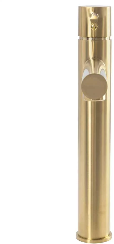 Praustuvo maišytuvas REA Tess High, Brushed Gold