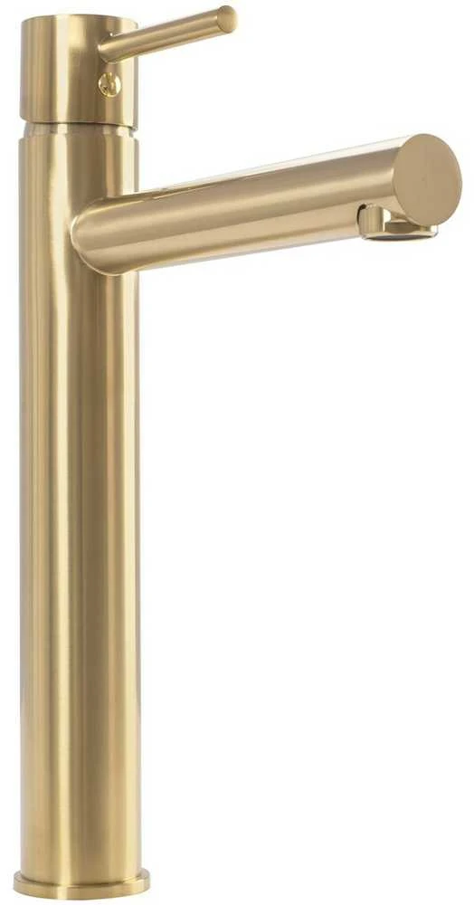 Praustuvo maišytuvas REA Tess High, Brushed Gold