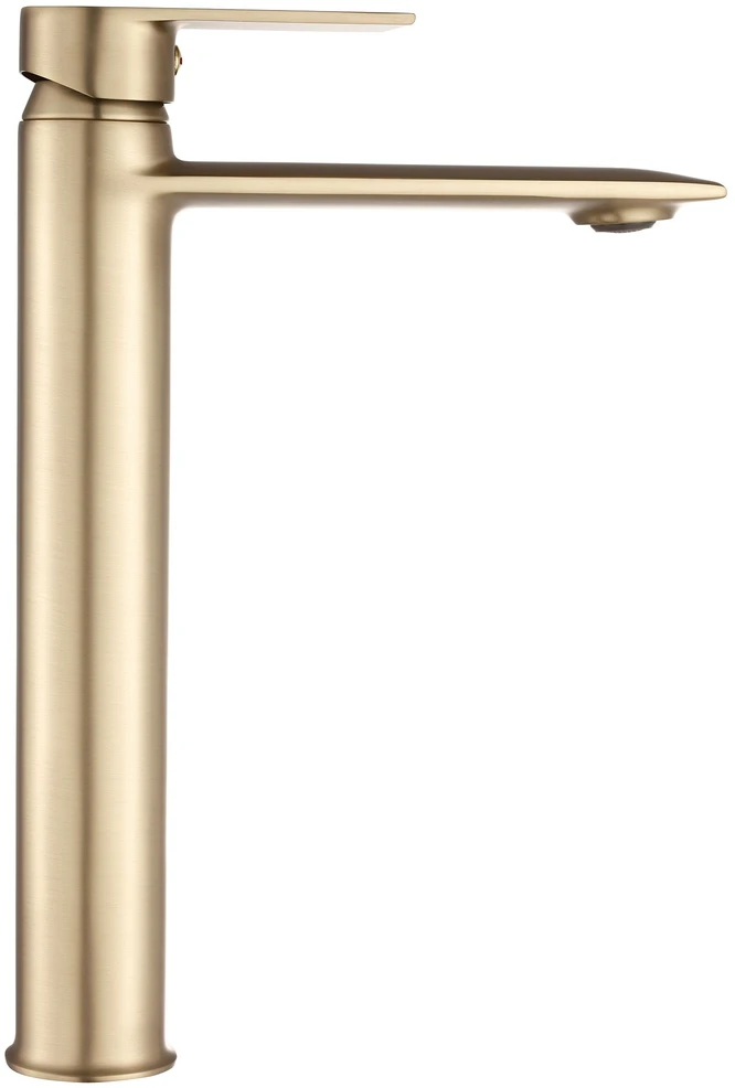Praustuvo maišytuvas REA Veneta High, Brushed Gold