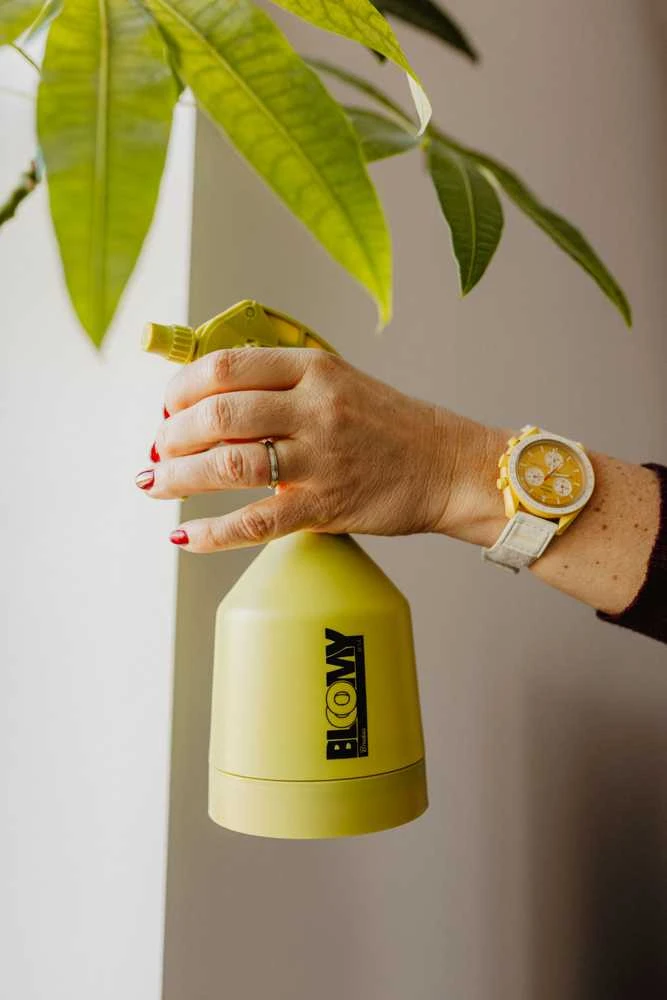 Purškiklis Bradas BLOOMY, 0.5L (1 vnt.)