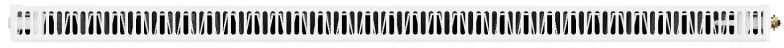 Radiatorius Mexen Line CCL11, 900 x 1400 mm, pajungimas iš apačios per vidurį, 1527 W, baltas