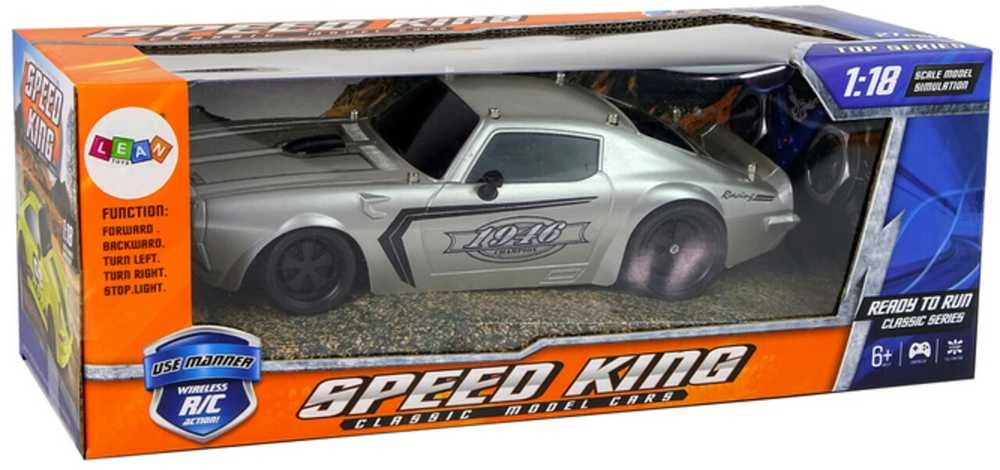 RC sportinis automobilis Champion, 1:18, sidabrinis