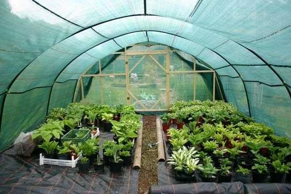 Šešėlinis tinklas, 62 g/m2, 1.5x50 m, tamsiai žalias
