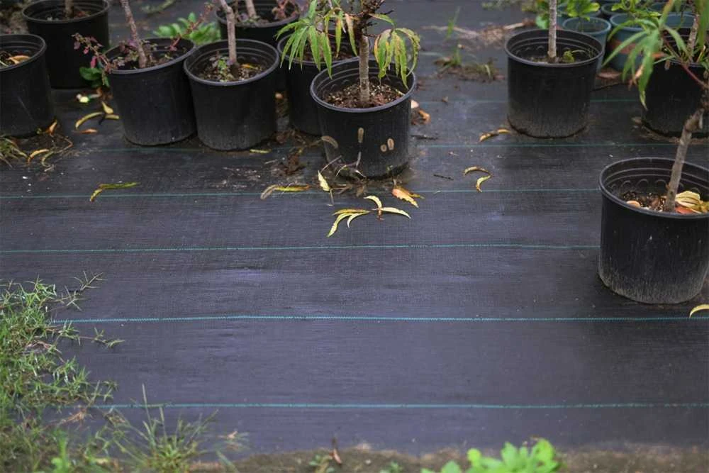 Sodo agroplėvelė, 90 g/m2, 1x50 m, juoda