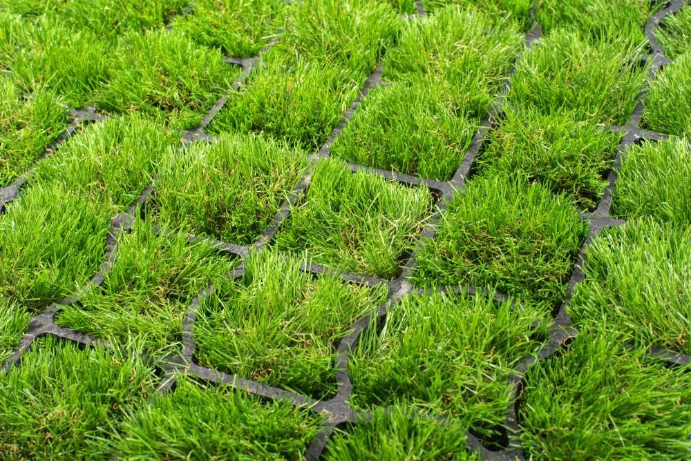 Sodo grotelės Bradas HEAVY GRID, 50x50 cm, juodos