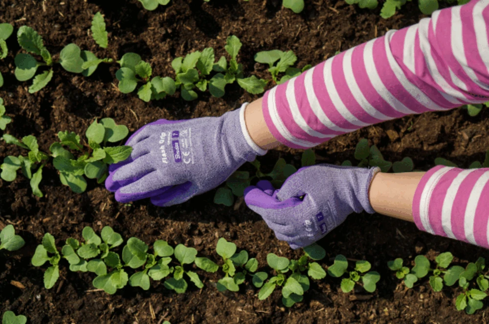 Sodo ir darbo pirštinės Bradas FLASH GRIP LAVENDER, 8 dydis, 6 vnt.