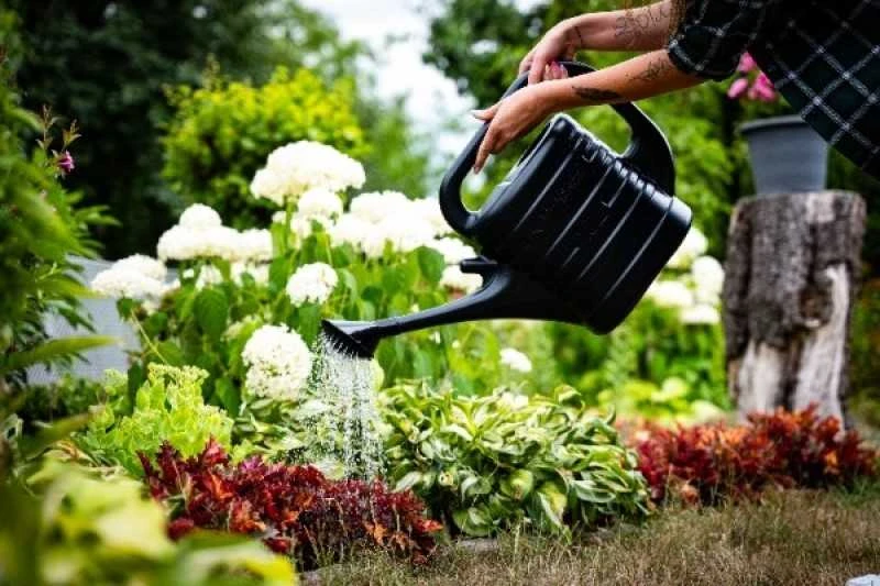 Sodo laistytuvas Prosperplast, 10 l, 1 vnt.