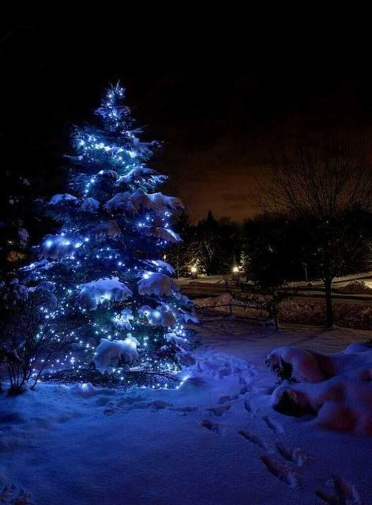 Soliarinė lempučių girlianda 100 LED, 10 m, šaltai balta