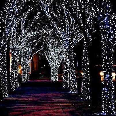Soliarinė lempučių girlianda 100 LED, 10 m, šaltai balta