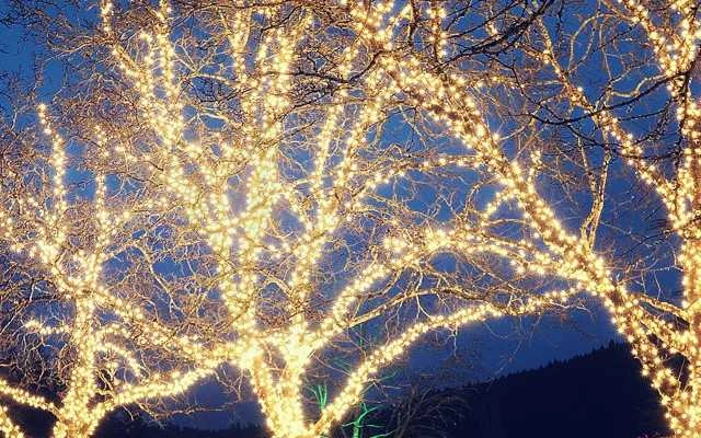 Soliarinė lempučių girlianda 200LED, 20 m, šiltai balta