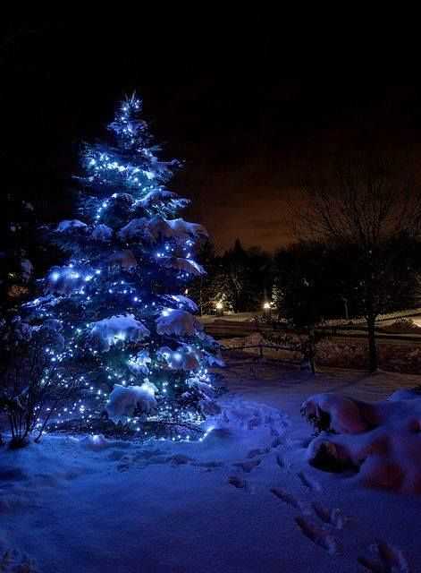 Soliarinė lempučių girlianda 500 LED, 52 m, šaltai balta