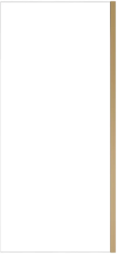 Stačiakampė dušo kabina Besco Duo Slide, Brushed Gold, 110 x 90 x 195 cm