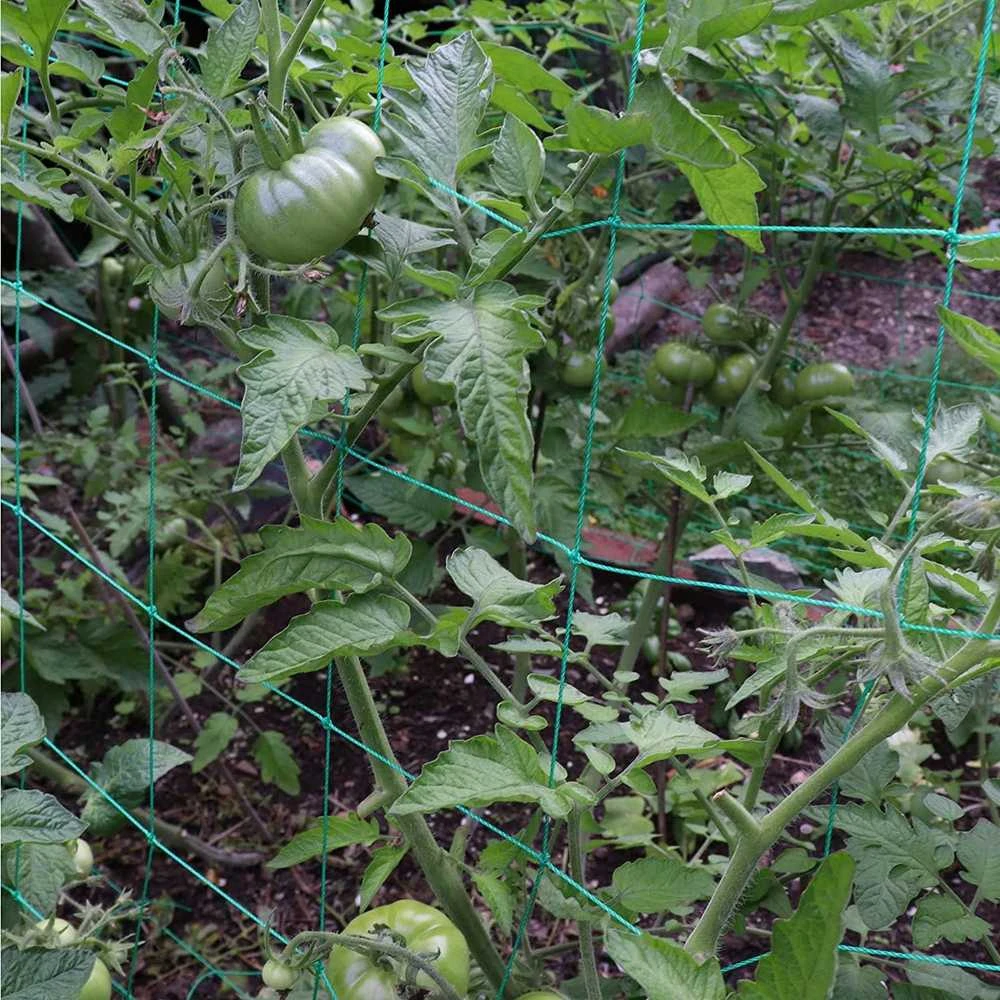 Tinklas augalams paremti, 0,9x5 m