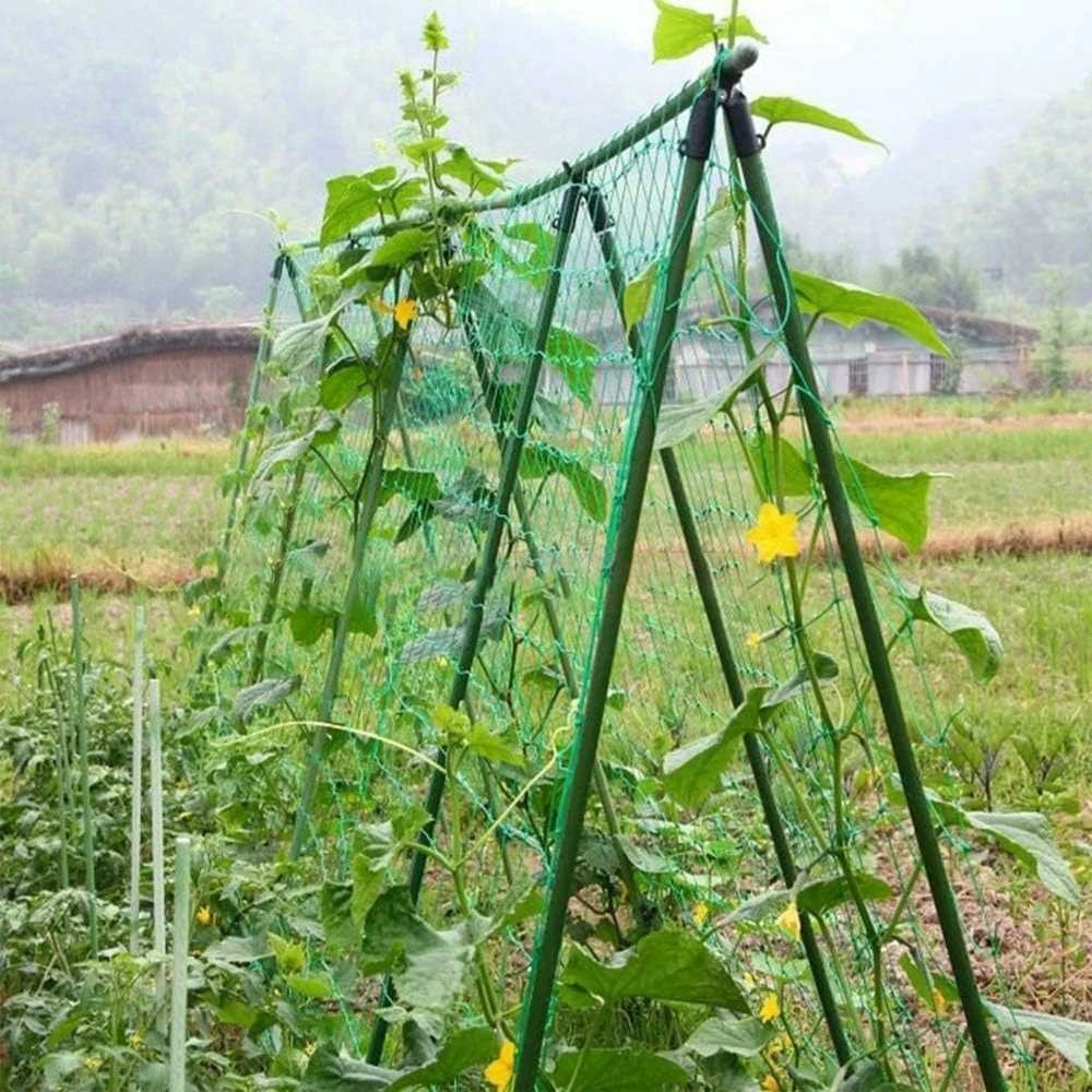 Tinklas augalams paremti, 1,8x1,8 m