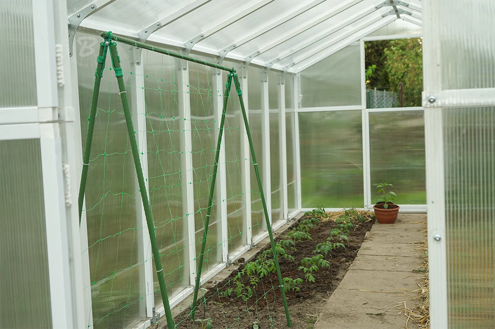 Tinklas vijokliniams augalams PLANT NET, 8 g/m2, 15x17cm, 1,7x100 m
