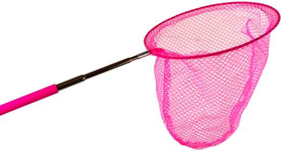 Tinklelis drugeliams gaudyti su teleskopine rankena, 85 cm, rožinis