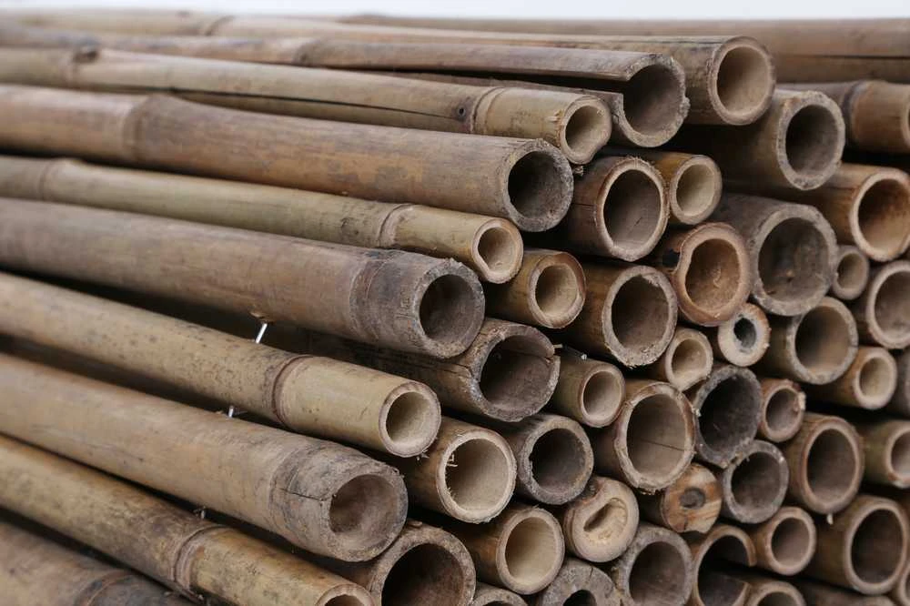 Tvoros / balkono uždanga Bamboo, 180 x 300 cm