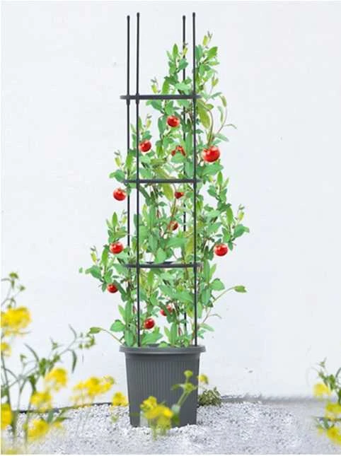 Vazonas su atrama pomidorams TOMATO TUBE, 8x28x148 cm