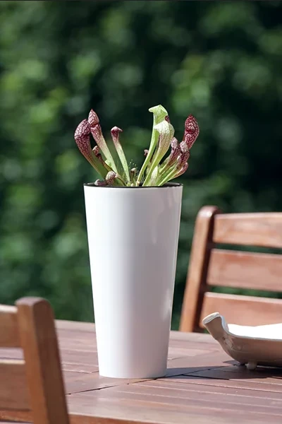 Vazonas Tubus Slim Shine, 300 mm