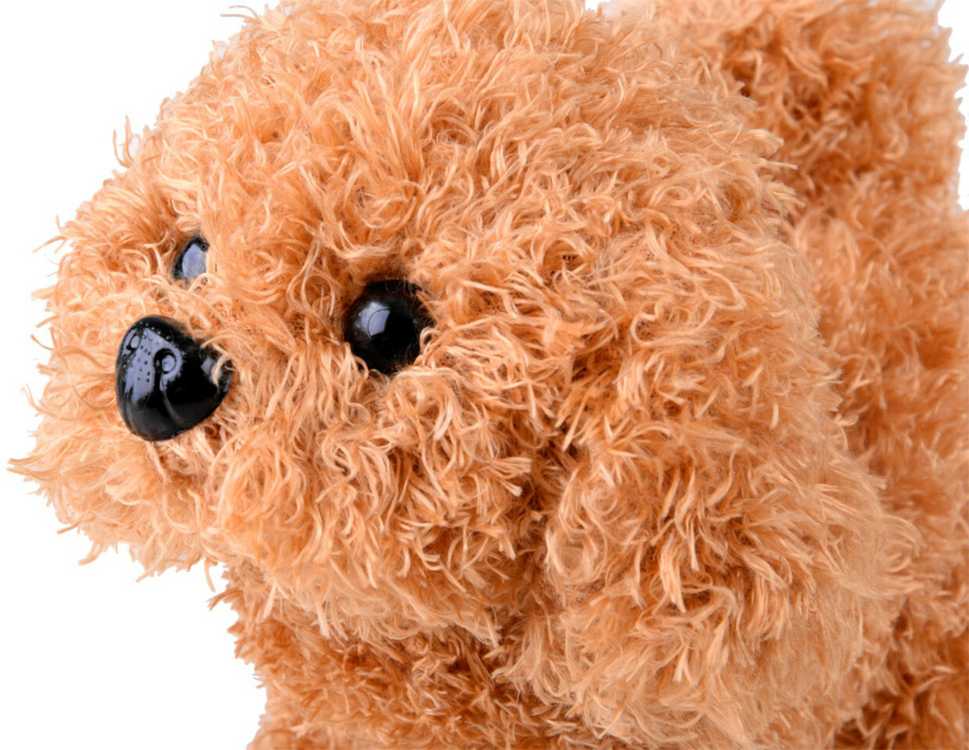 Veterinarijos gydytojo rinkinys su interaktyviu šuniuku ir transportavimo dėže