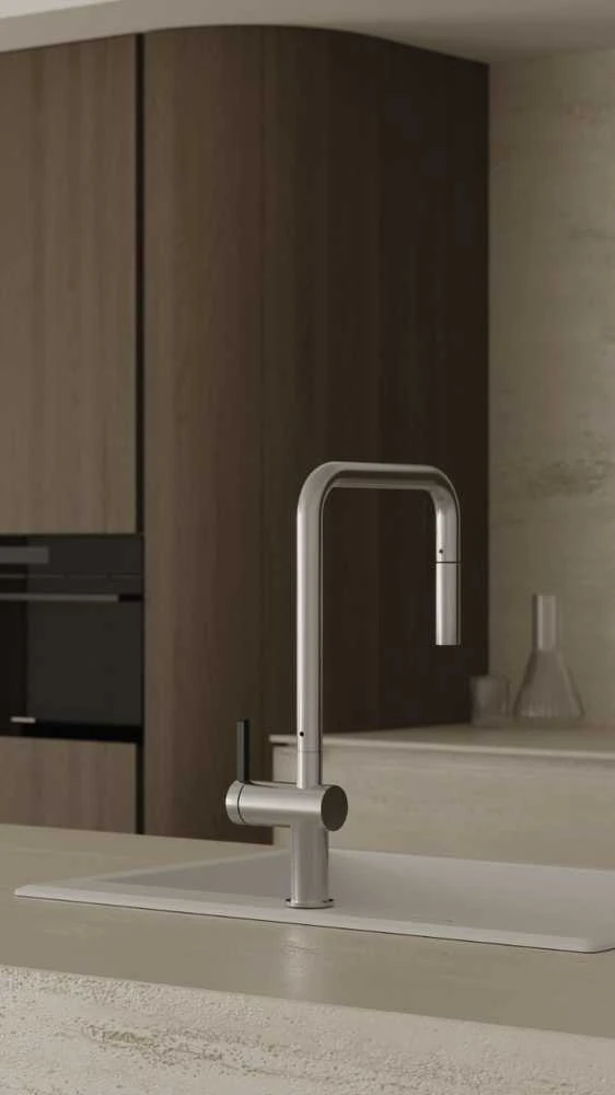 Virtuvinis maišytuvas Deante Momi BKM_F73N, Brushed steel