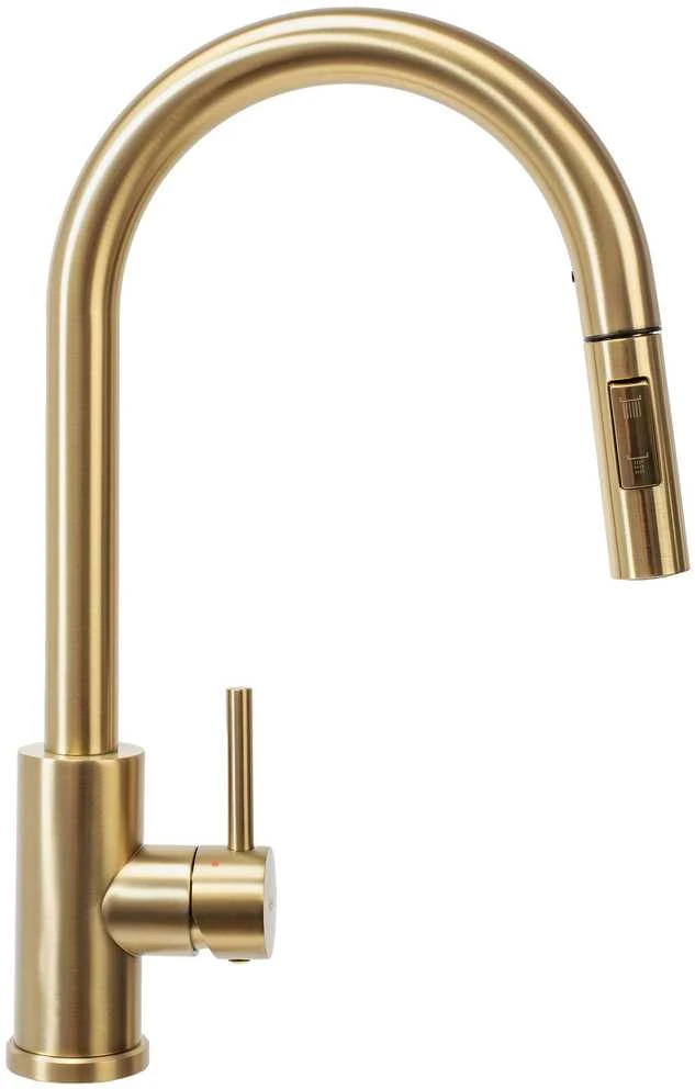 Virtuvinis maišytuvas Rea Fresh, Brushed Gold