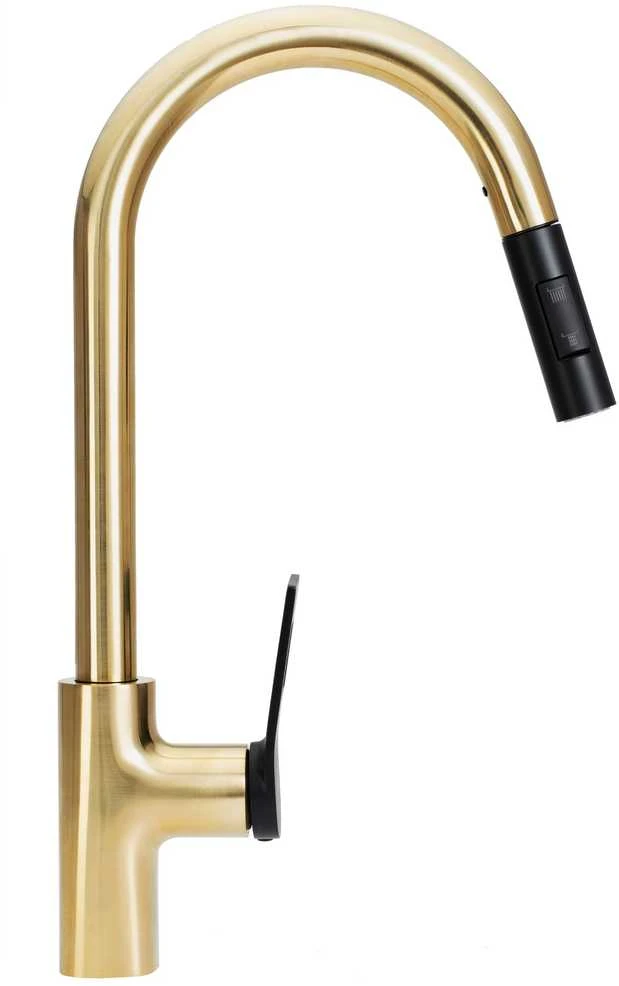 Virtuvinis maišytuvas Rea Soul, Juodas/Brushed Gold