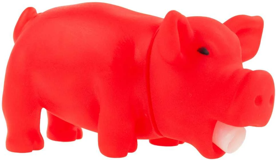 Žaislas gyvūnams piggy, 1 vnt.